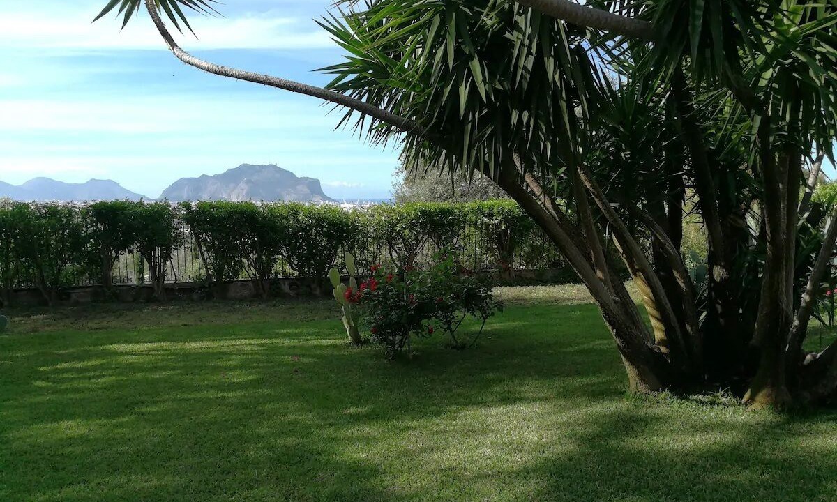 Photo of Outdoor in Palermo