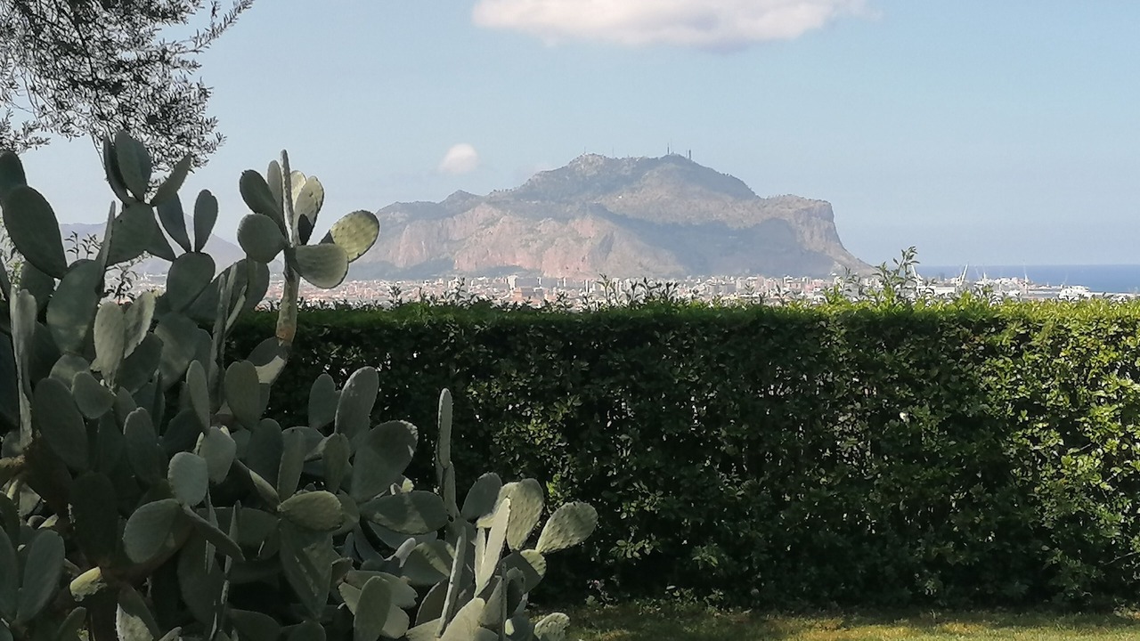 Photo of Outdoor in Palermo