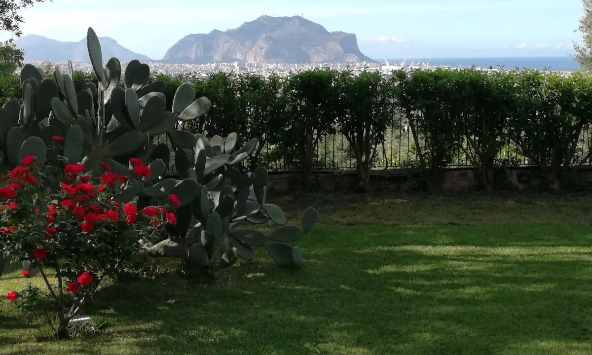 Photo of Outdoor in Palermo