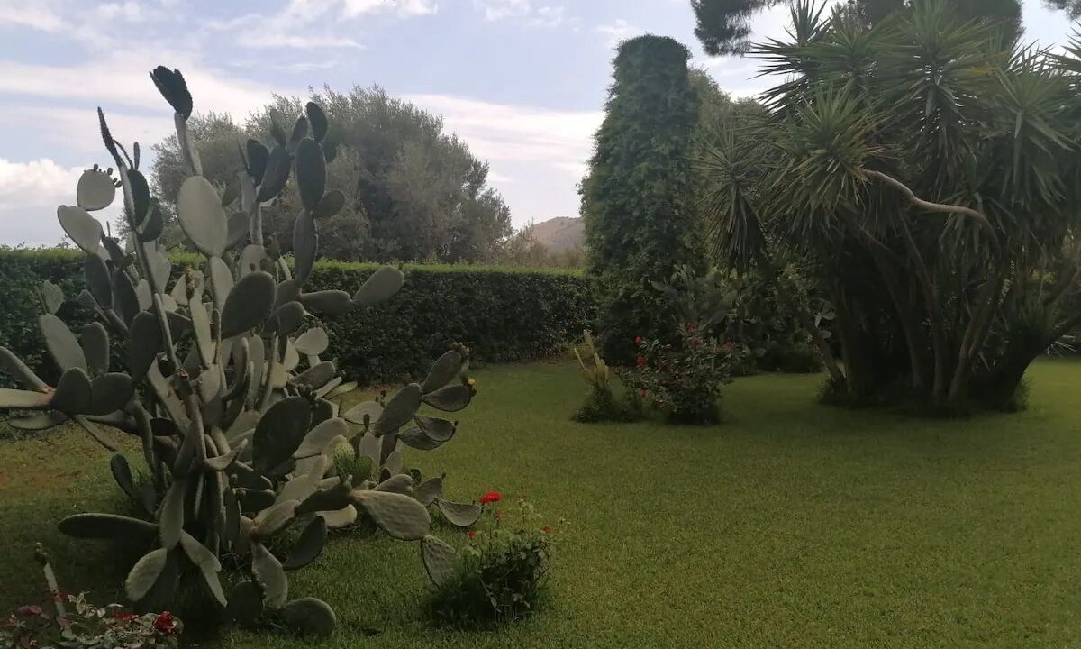 Photo of Outdoor in Palermo