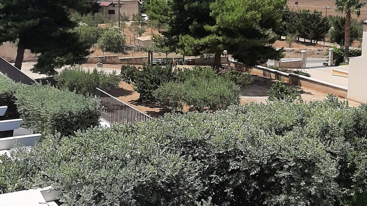 Photo of Outdoor in Macari