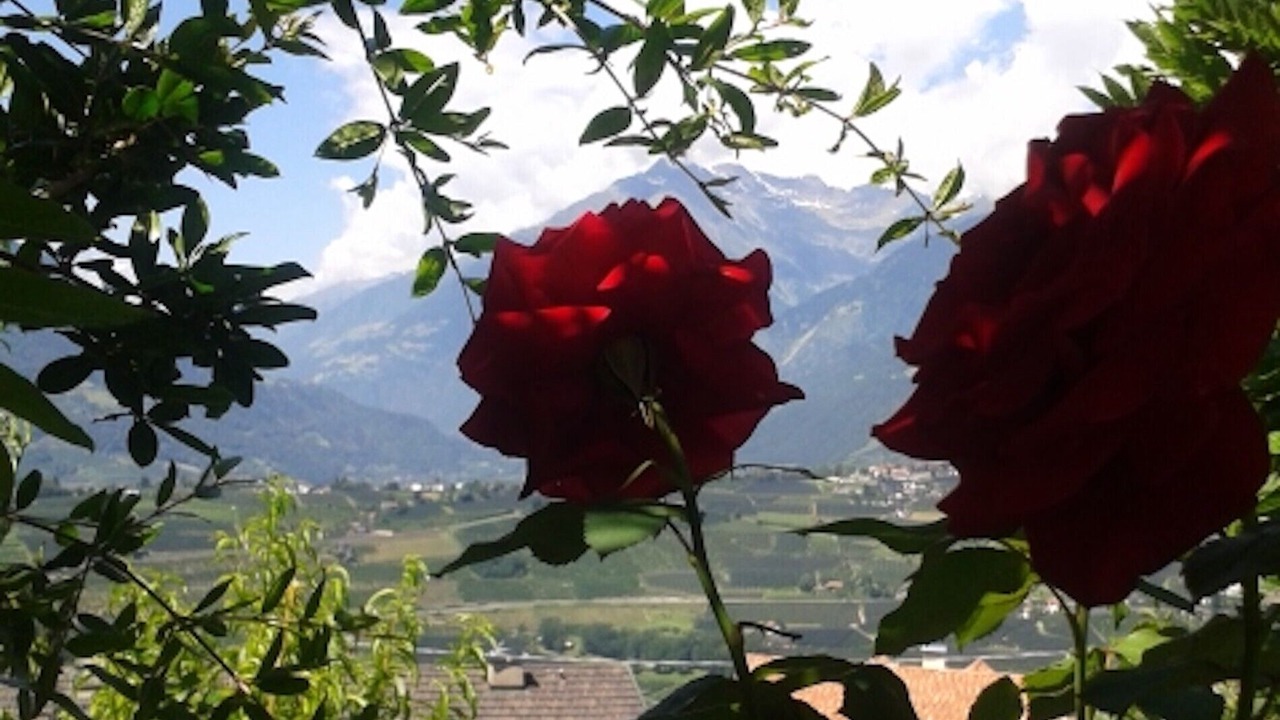 Photo of Outdoor in Schenna