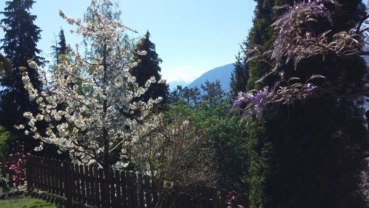 Photo of Outdoor in Schenna