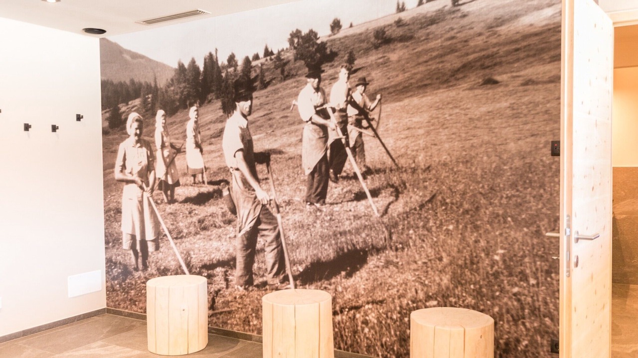 Photo of Others in Chifa