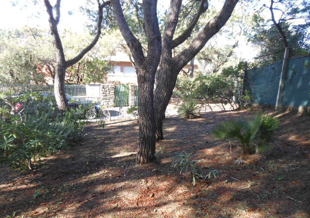 Photo of Outdoor in Marina di Castagneto Carducci