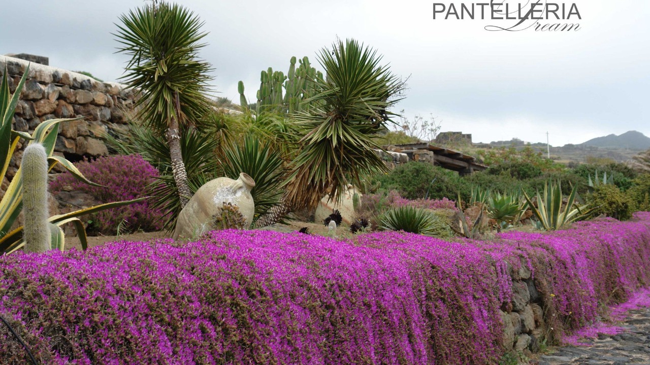 Photo of Outdoor in Pantelleria