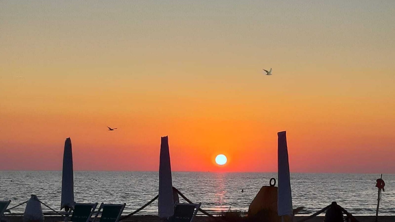 Photo of Others in Anzio