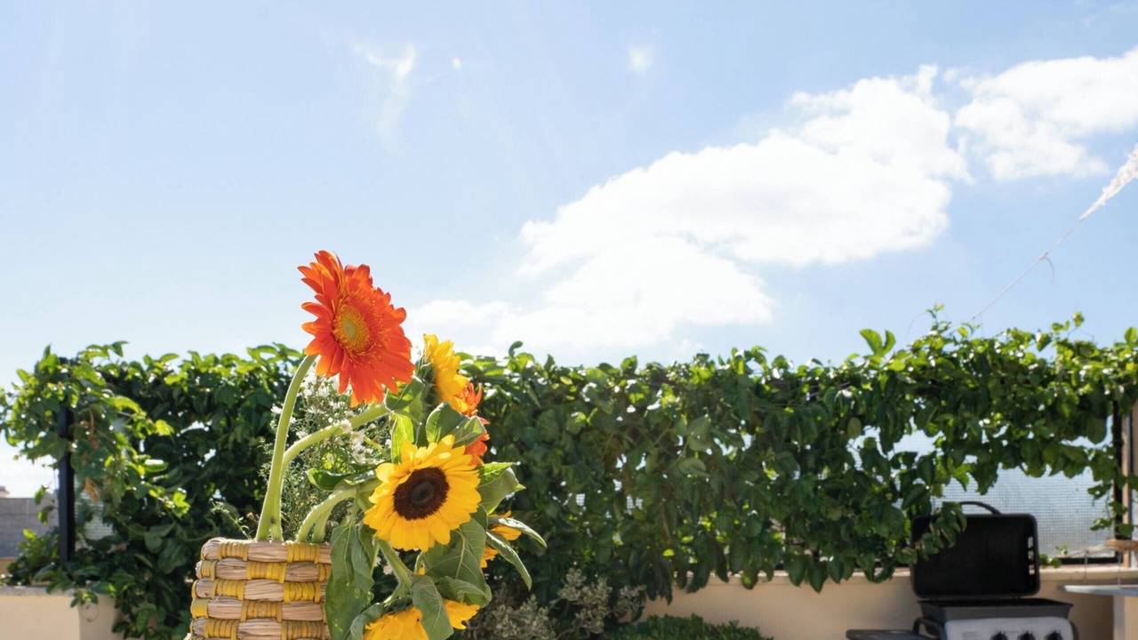 Photo of Outdoor in Santa Flavia