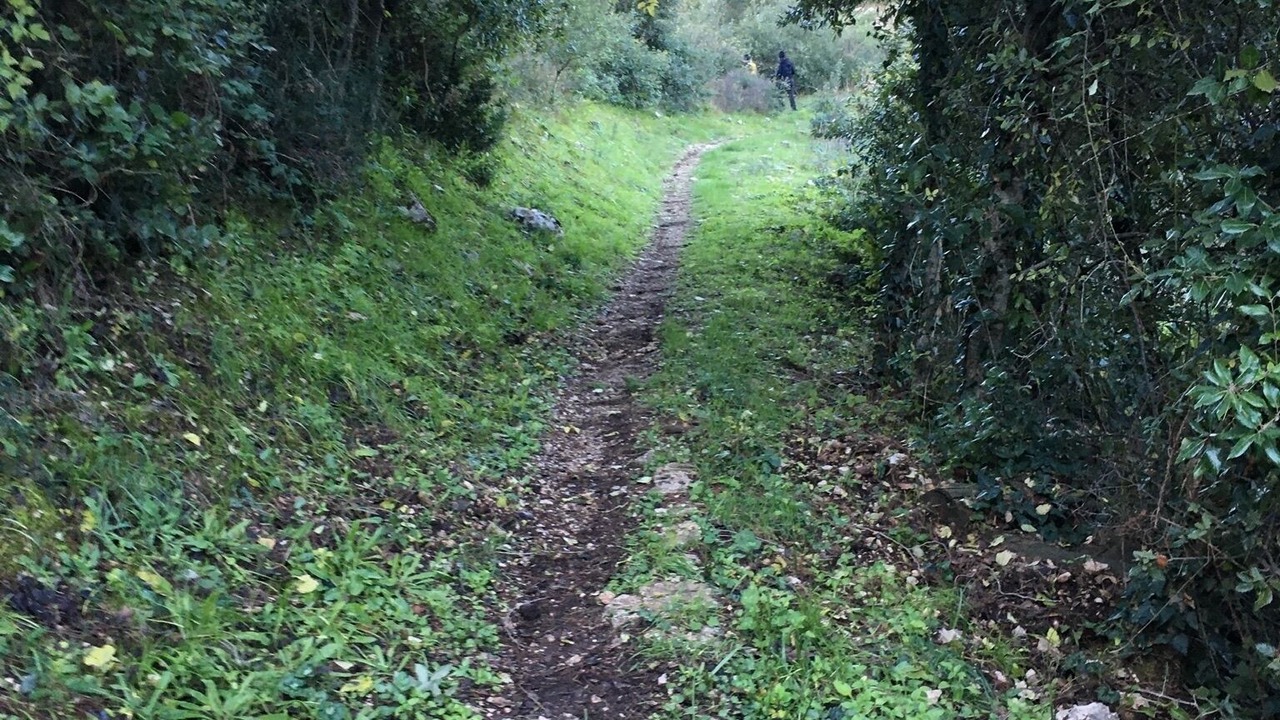 Photo of Outdoor in Cammarata