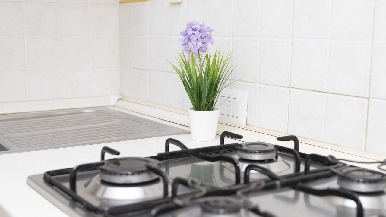 Photo of Kitchen in Marina di Castagneto Carducci