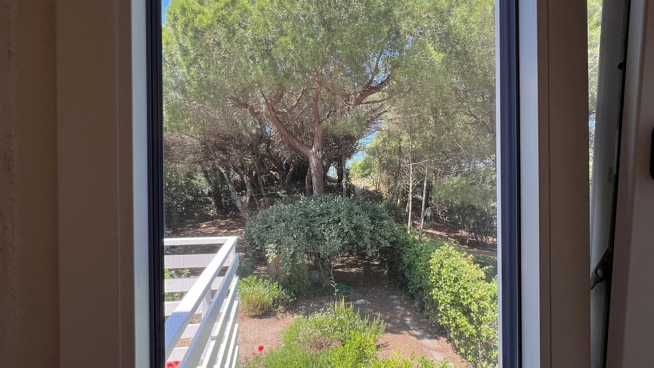 Photo of Others in Marina di Castagneto Carducci