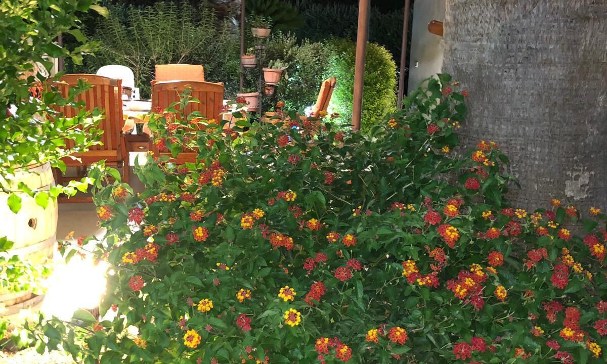 Photo of Patio Balcony in Marsala
