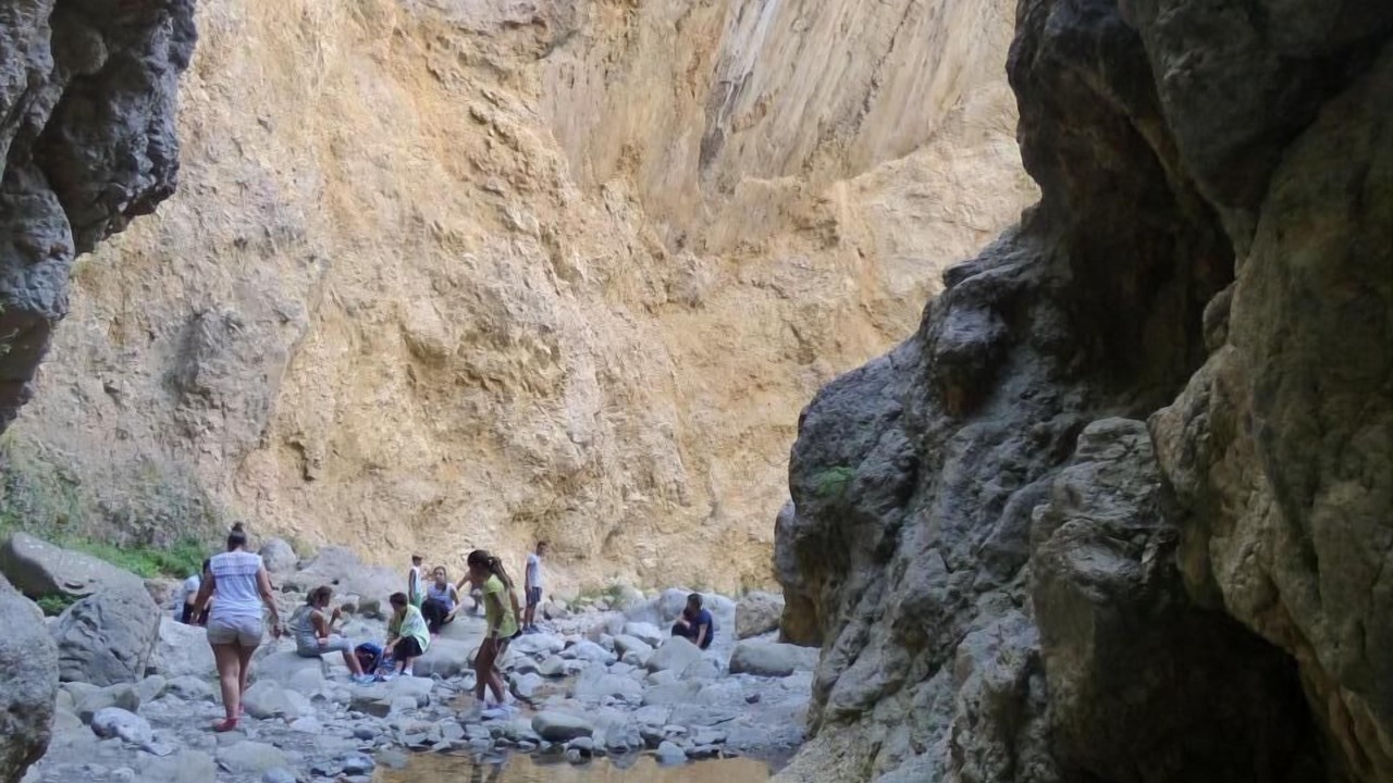 Photo of Others in Patti