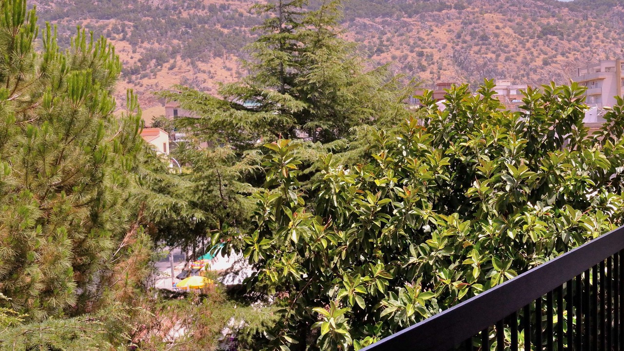 Photo of Outdoor in Palermo