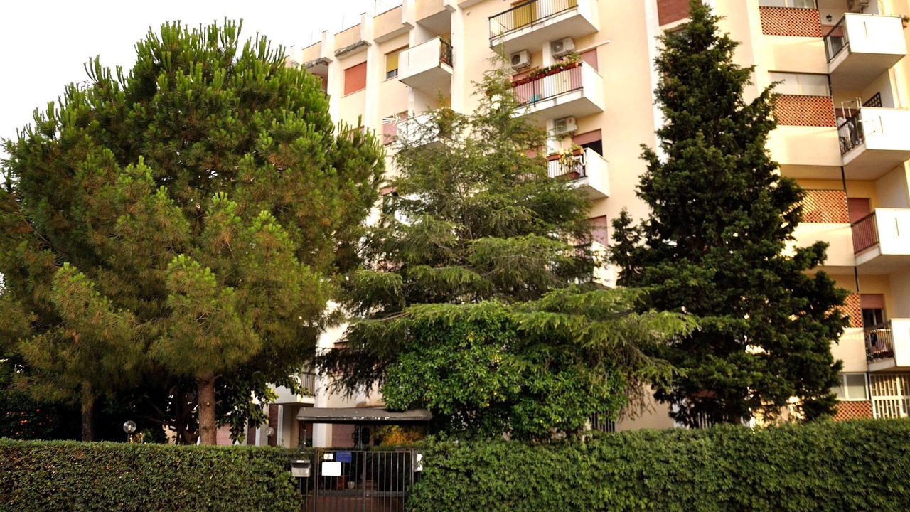 Photo of Outdoor in Palermo