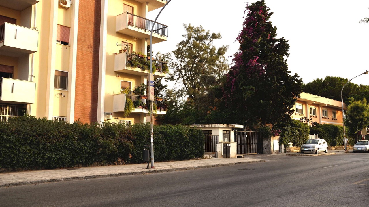 Photo of Outdoor in Palermo