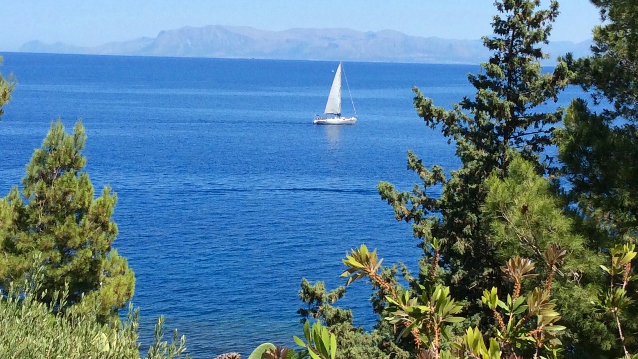 Photo of Others in Zarbo di Mare
