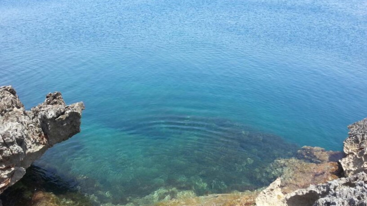 Photo of Others in Zarbo di Mare