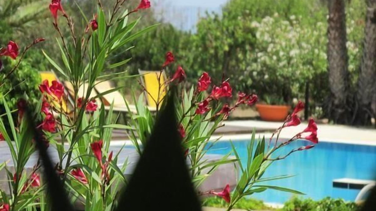 Photo of Outdoor in Pantelleria