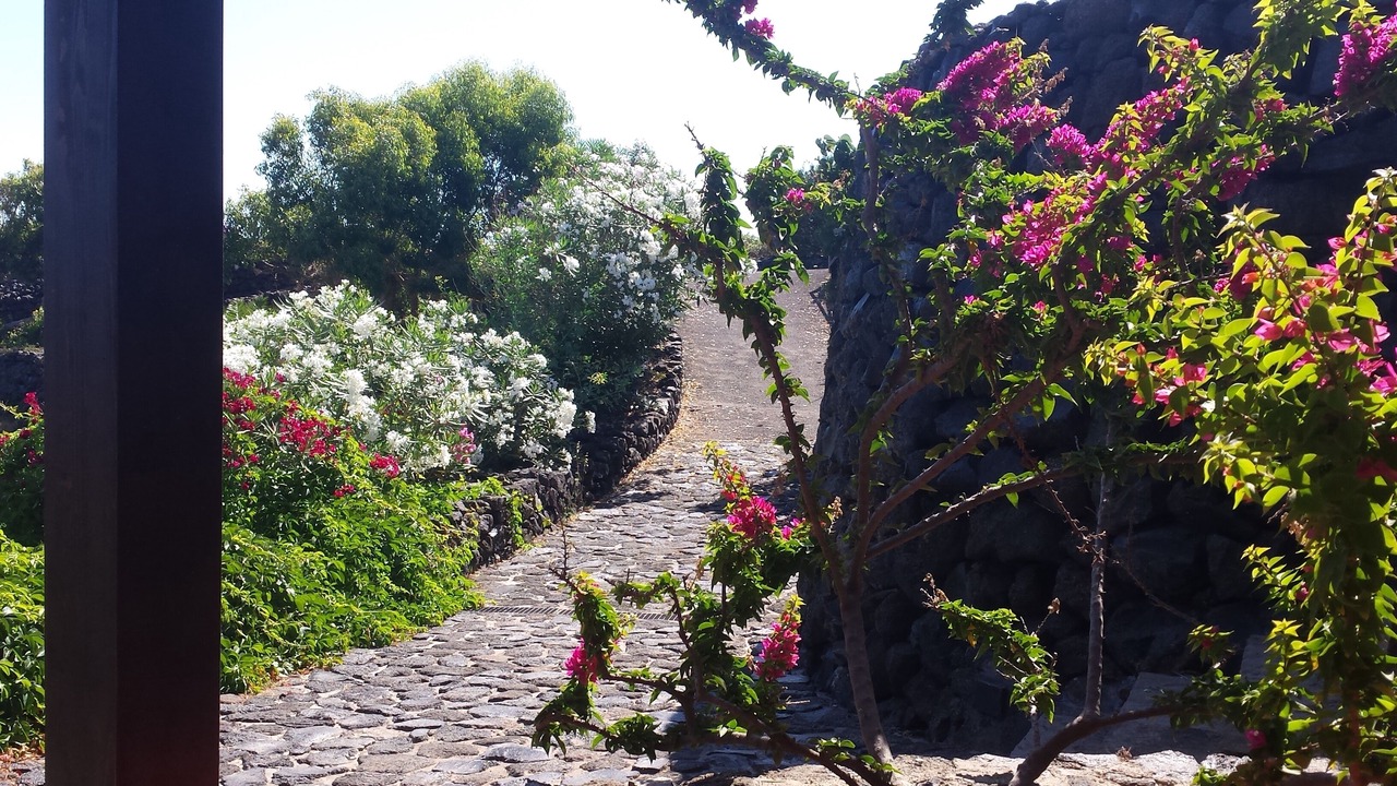 Photo of Outdoor in Pantelleria