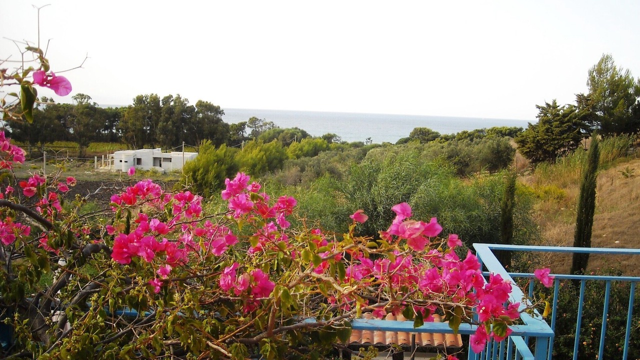 Photo of Outdoor in Menfi
