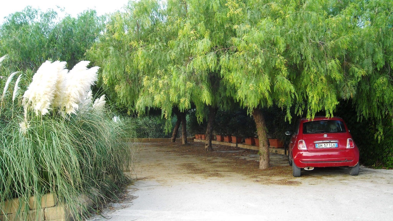 Photo of Outdoor in Menfi