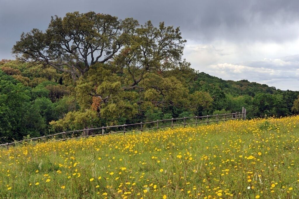 Photo of Outdoor in Cori