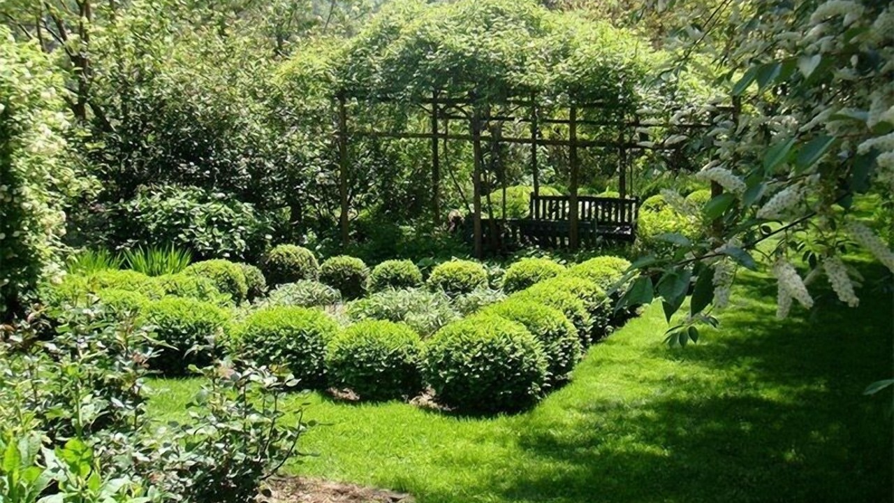 Photo of Outdoor in Cori