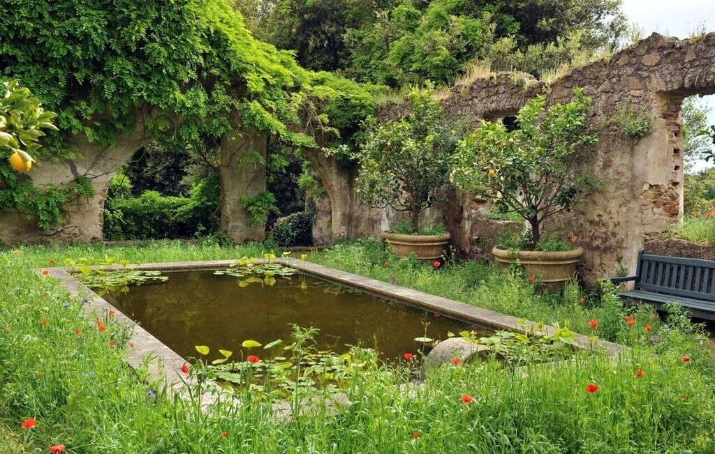 Photo of Outdoor in Cori