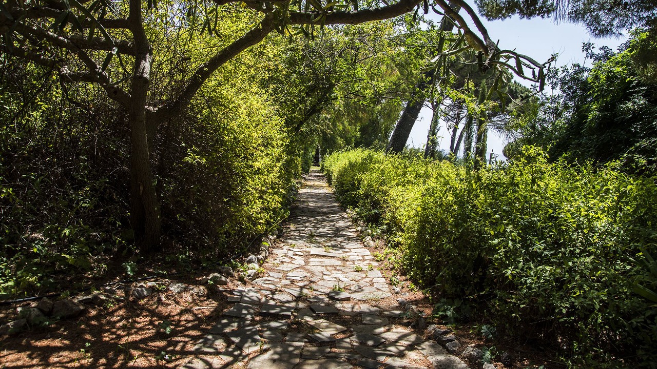 Photo of Outdoor in Citta del Mare