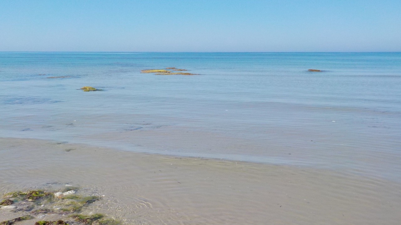Photo of Others in Sciacca