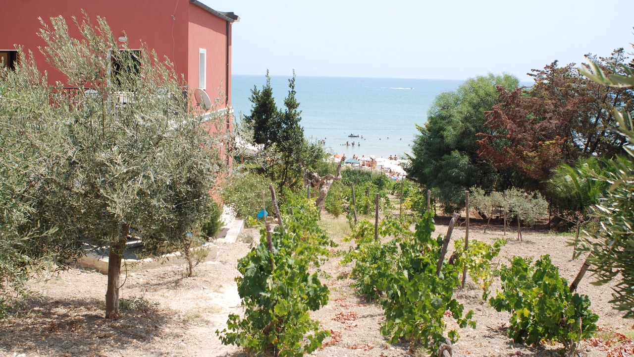 Photo of Outdoor in Realmonte