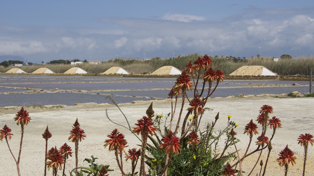 Photo of Others in Marsala