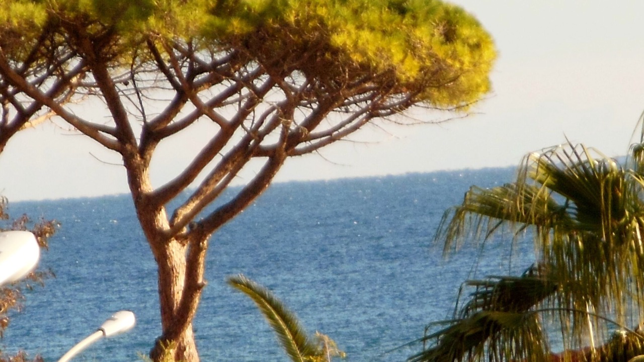 Photo of Others in Mondello