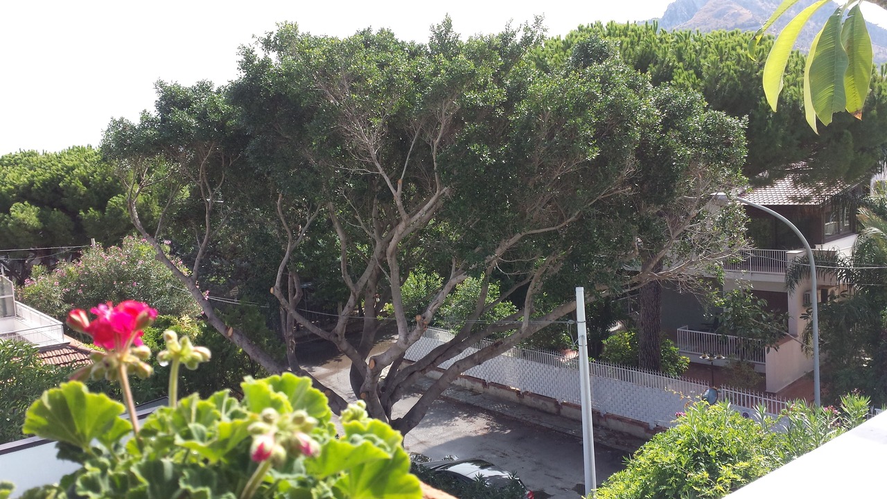 Photo of Outdoor in Mondello