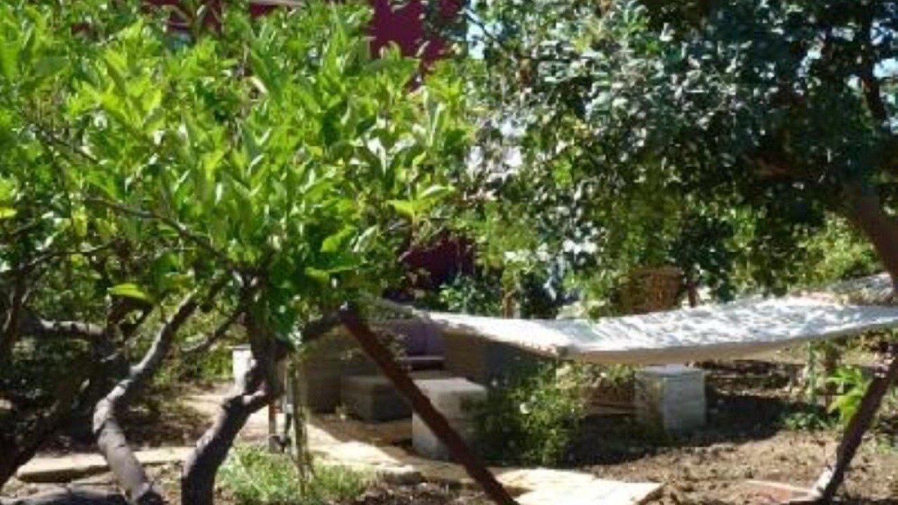 Photo of Outdoor in Mockarta