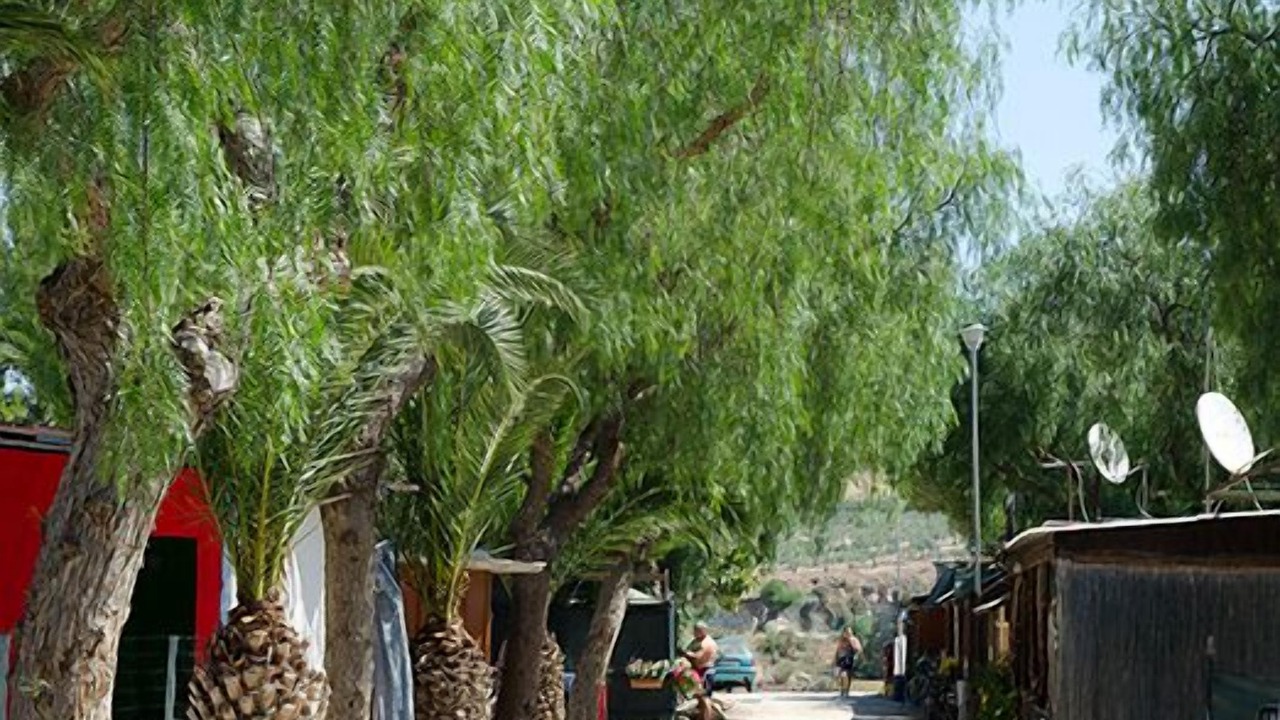 Photo of Outdoor in Seccagrande