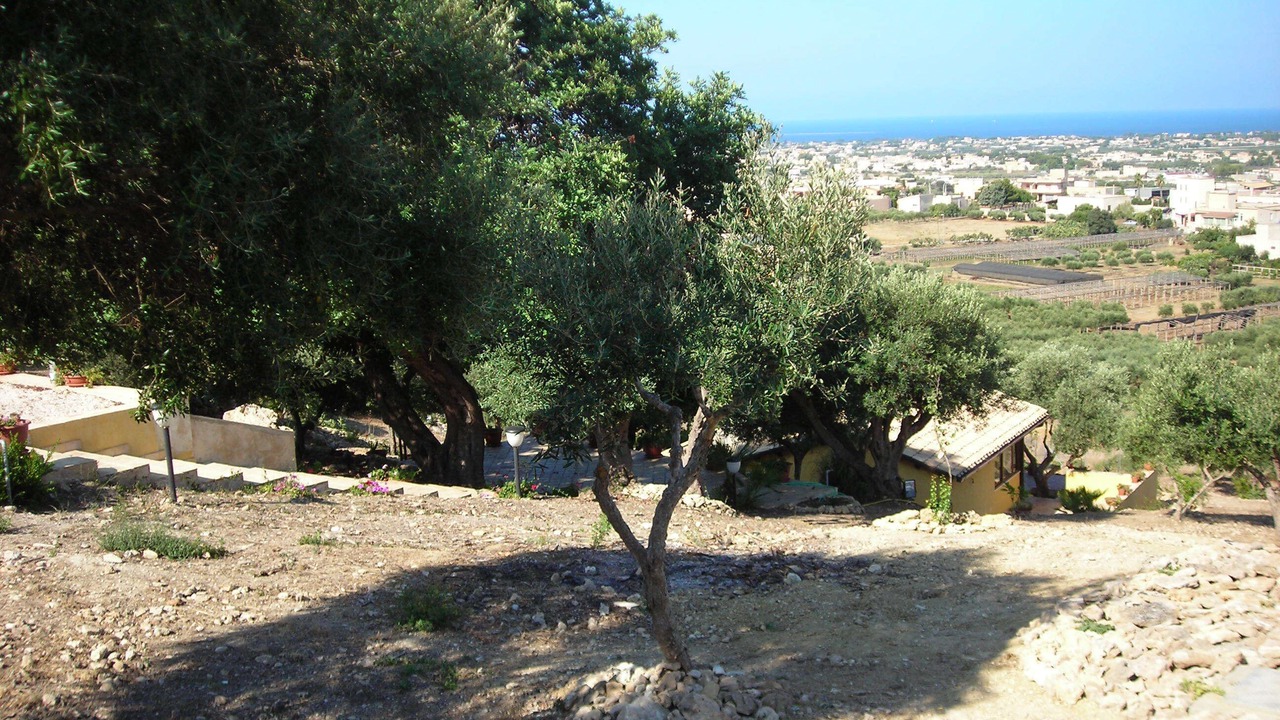 Photo of Outdoor in Marsala