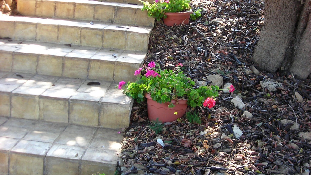 Photo of Outdoor in Marsala