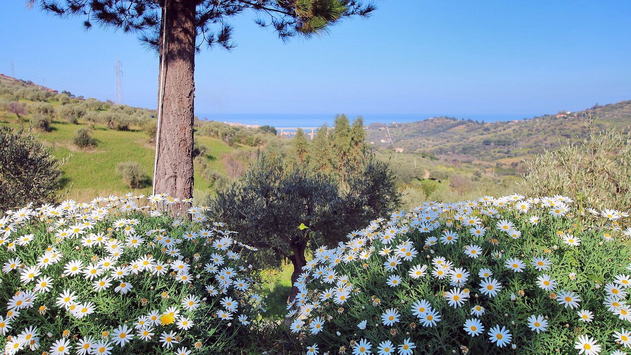 Photo of Outdoor in Collesano