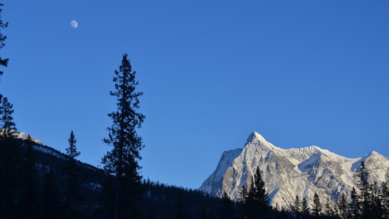 Photo of Outdoor in Golden