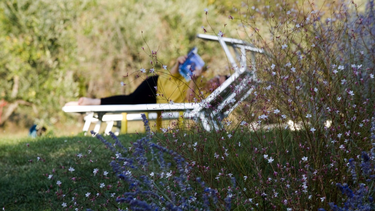 Photo of Outdoor in Castelfranco di Sopra