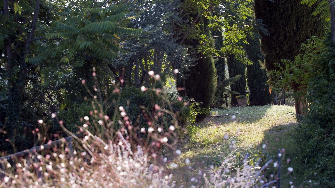 Photo of Outdoor in Castelfranco di Sopra