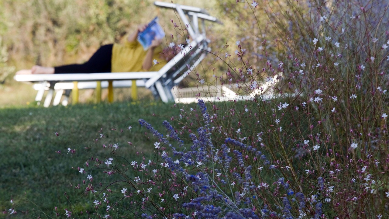 Photo of Outdoor in Castelfranco di Sopra