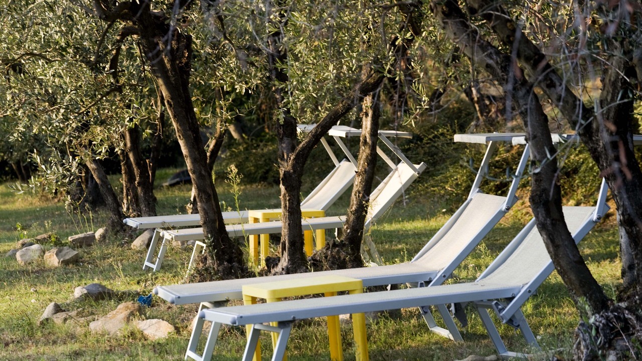 Photo of Outdoor in Castelfranco di Sopra
