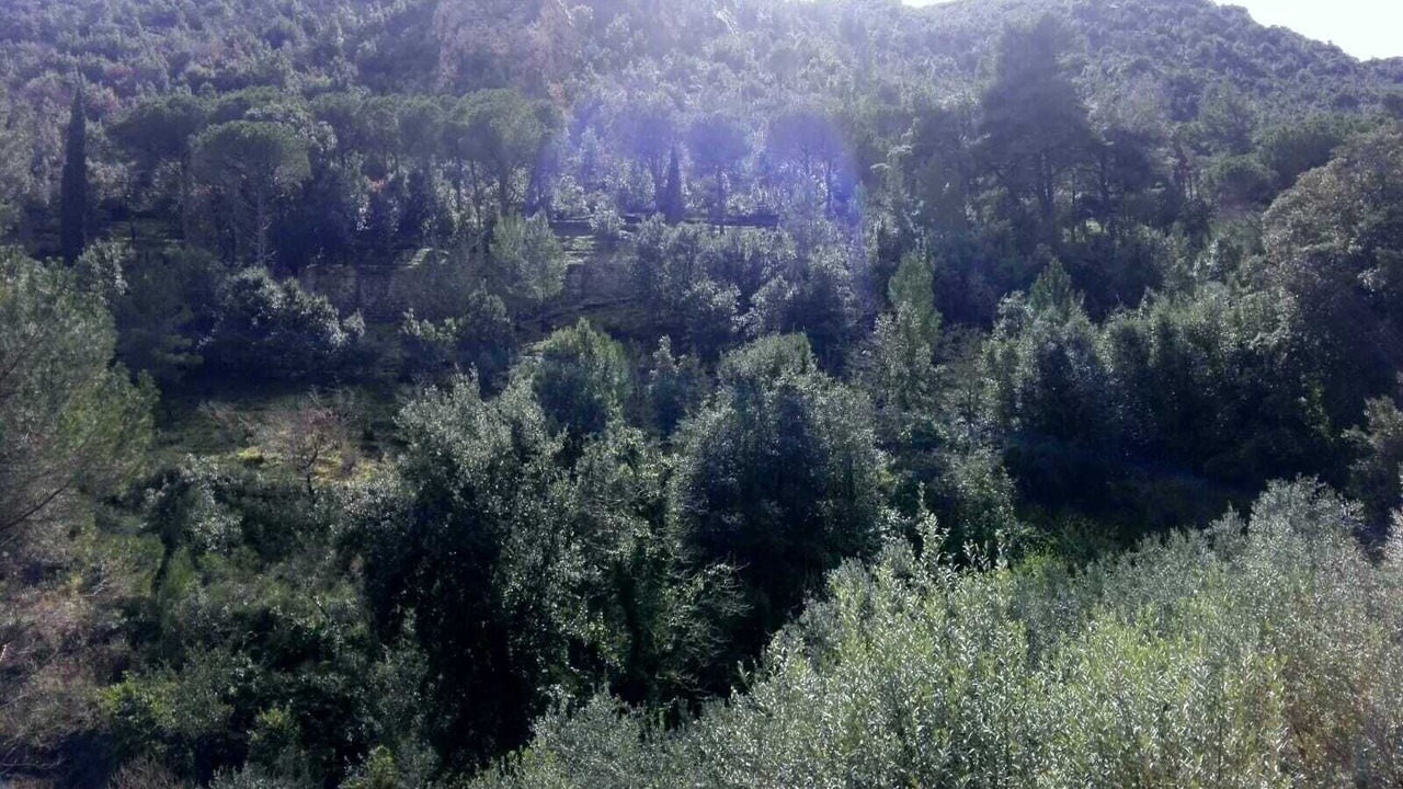 Photo of Outdoor in San Martino delle Scale