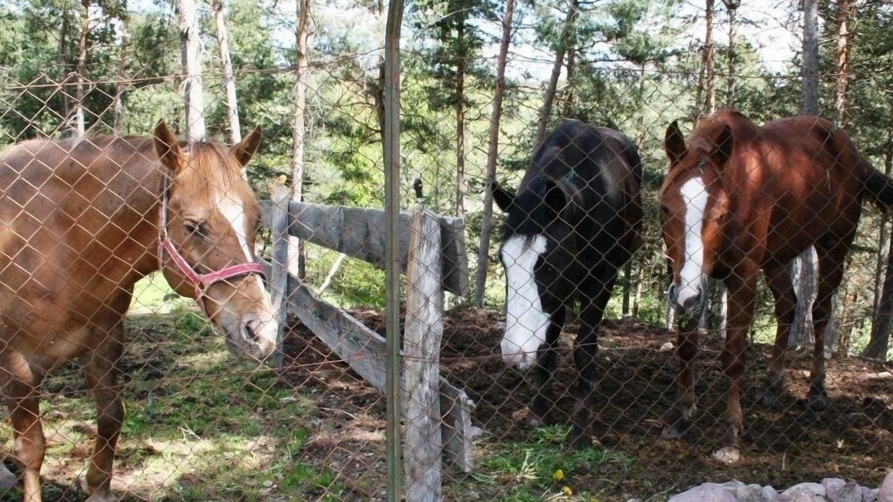 Photo of Outdoor in San Genesio Atesino