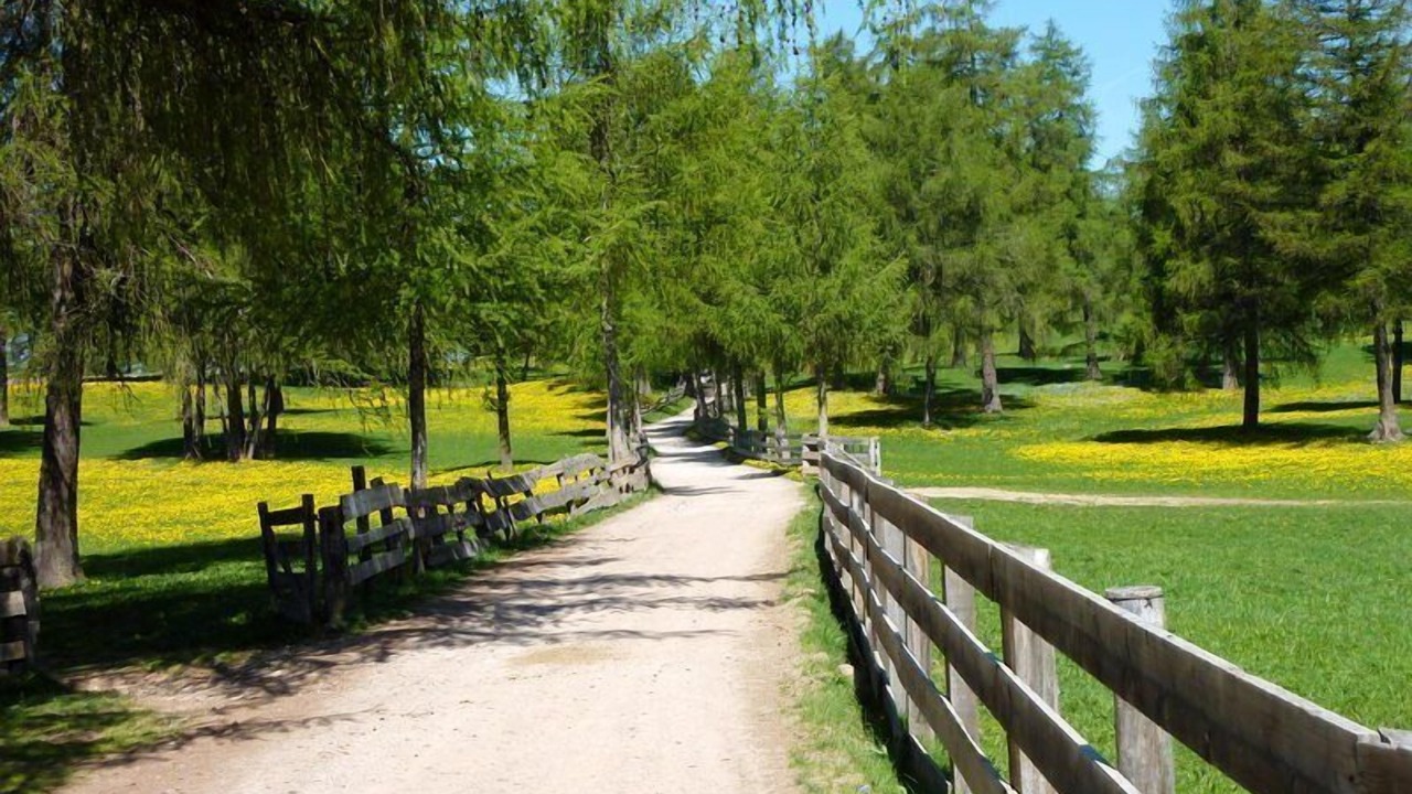 Photo of Outdoor in San Genesio Atesino
