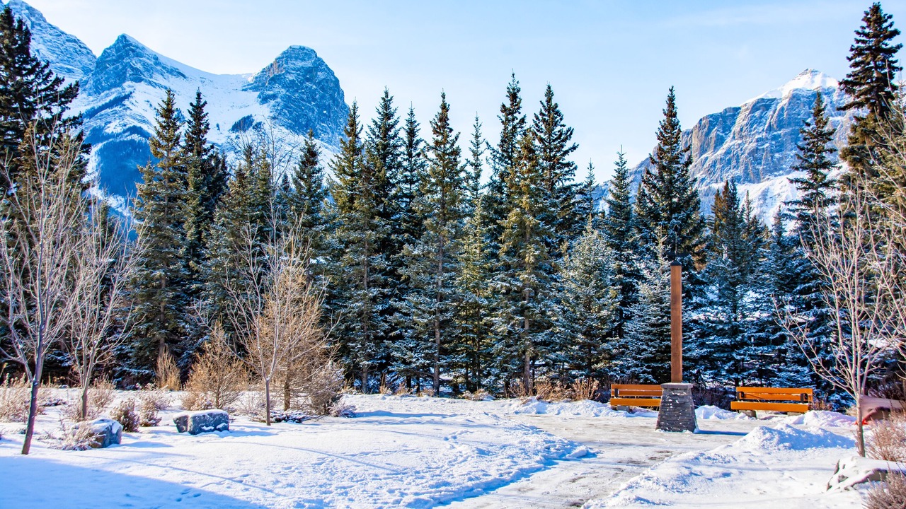 Photo of Others in Canmore