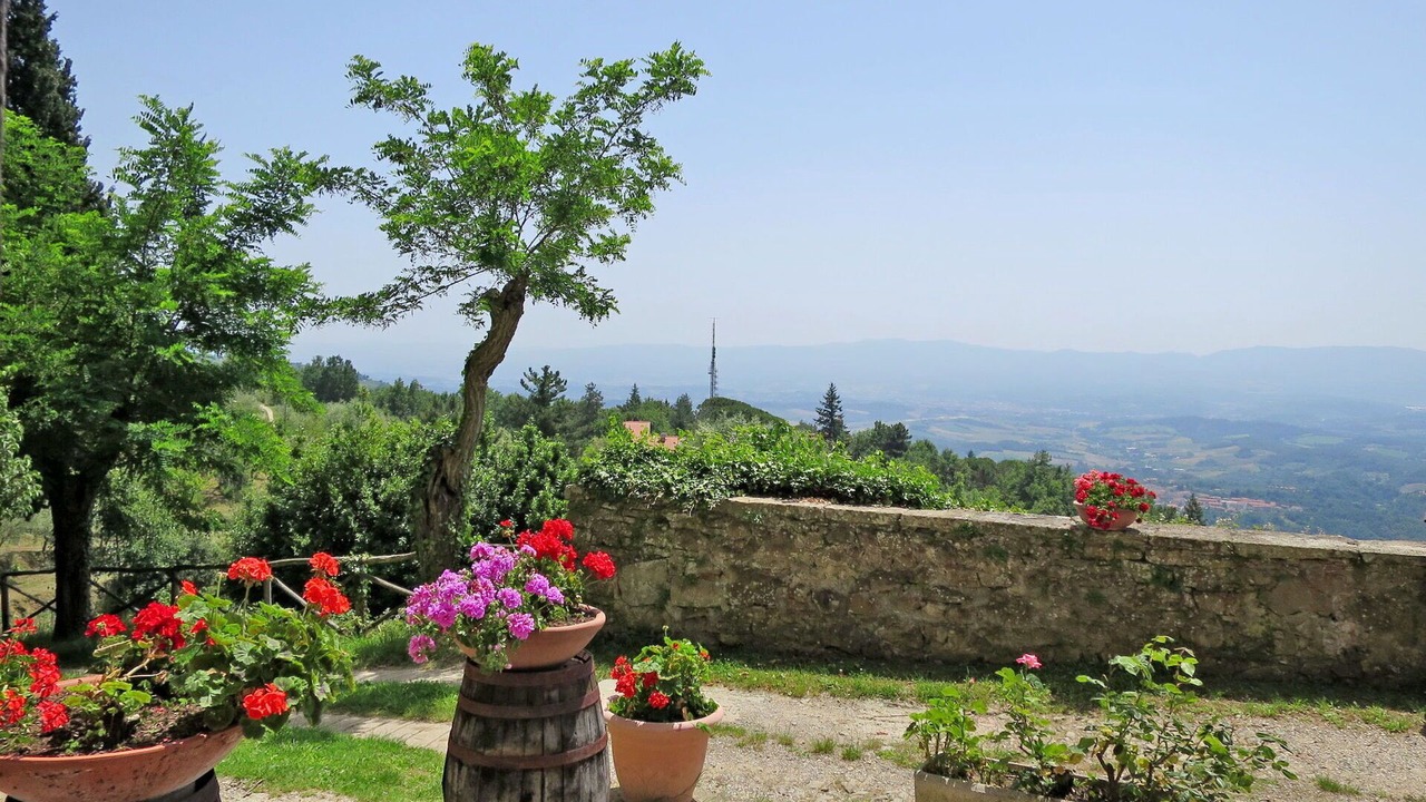 Photo of Others in Castelfranco di Sopra